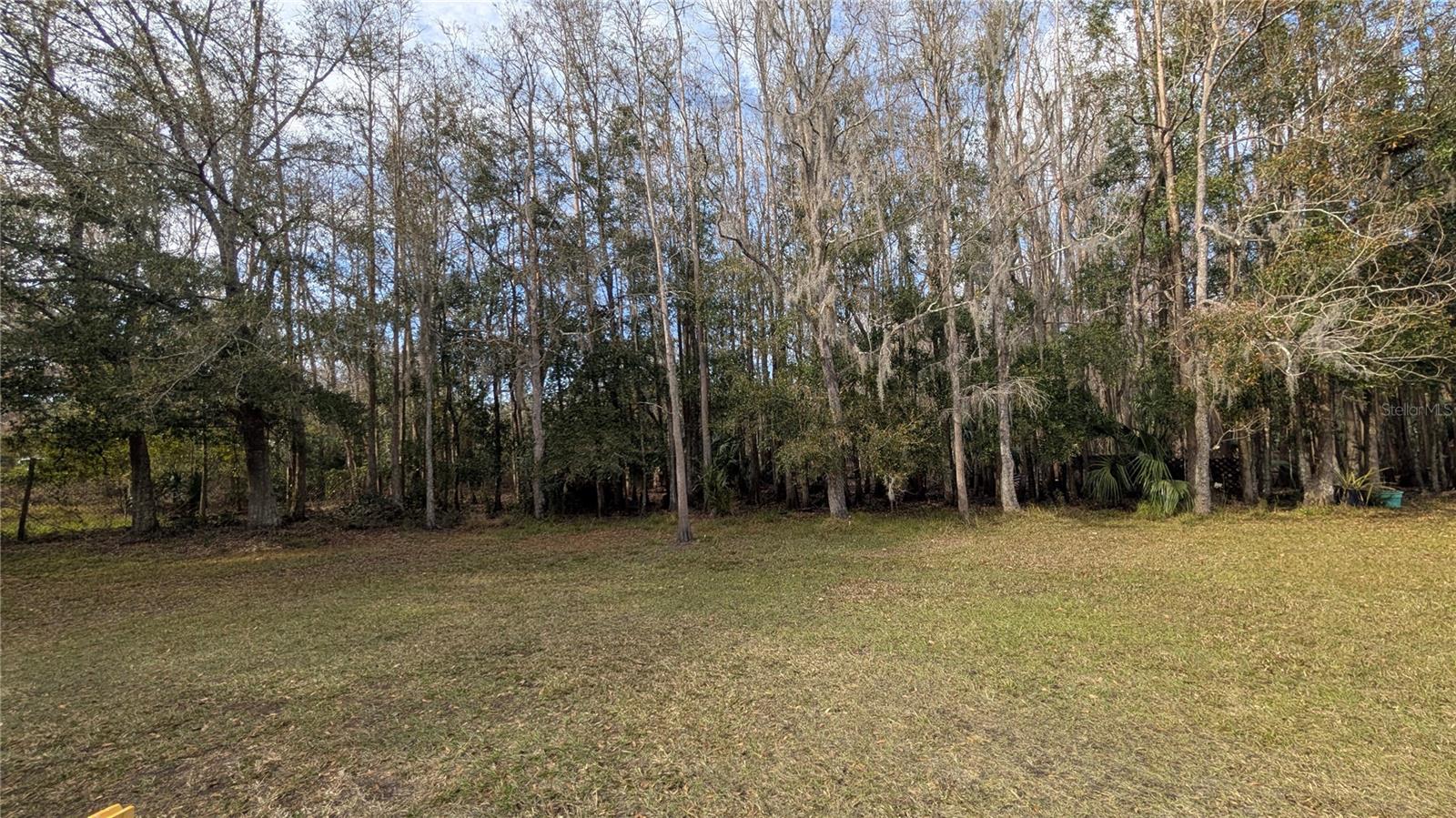 26341 DAYFLOWER BLVD, WESLEY CHAPEL, FL, 33544