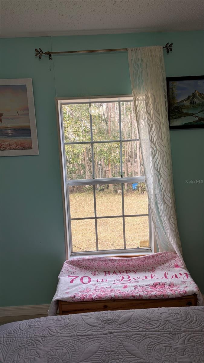 26341 DAYFLOWER BLVD, WESLEY CHAPEL, FL, 33544