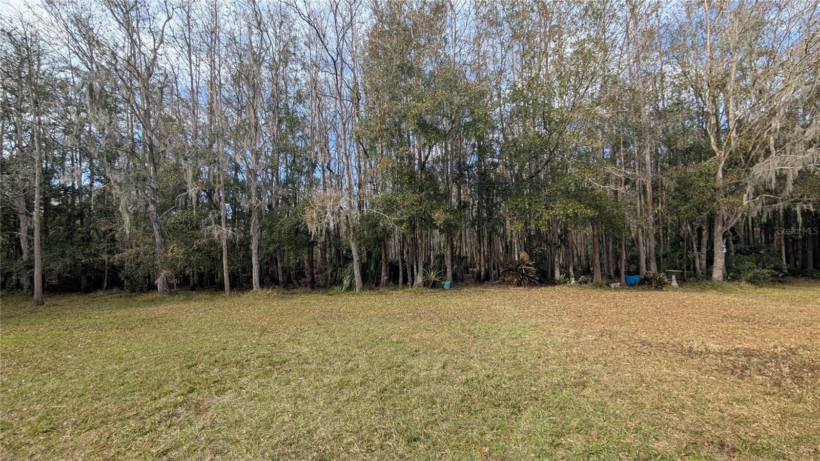 26341 DAYFLOWER BLVD, WESLEY CHAPEL, FL, 33544