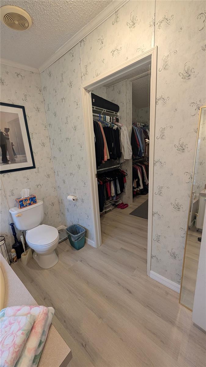 26341 DAYFLOWER BLVD, WESLEY CHAPEL, FL, 33544