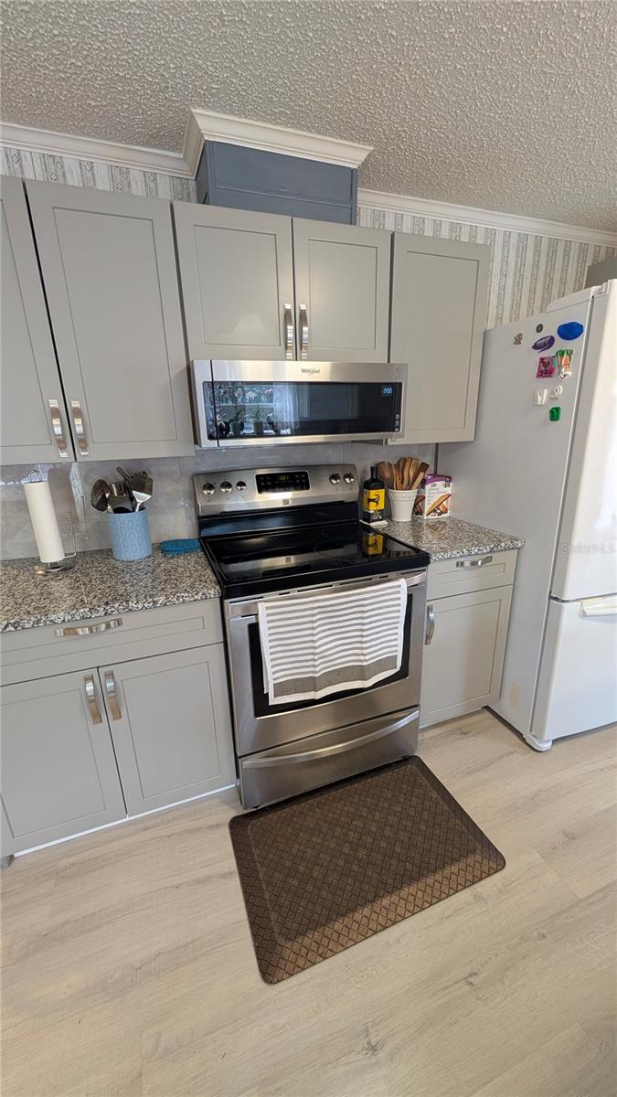 26341 DAYFLOWER BLVD, WESLEY CHAPEL, FL, 33544