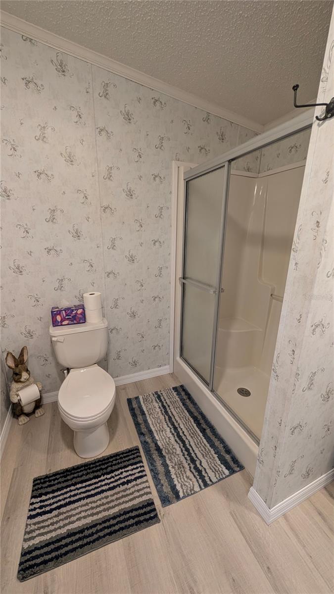 26341 DAYFLOWER BLVD, WESLEY CHAPEL, FL, 33544