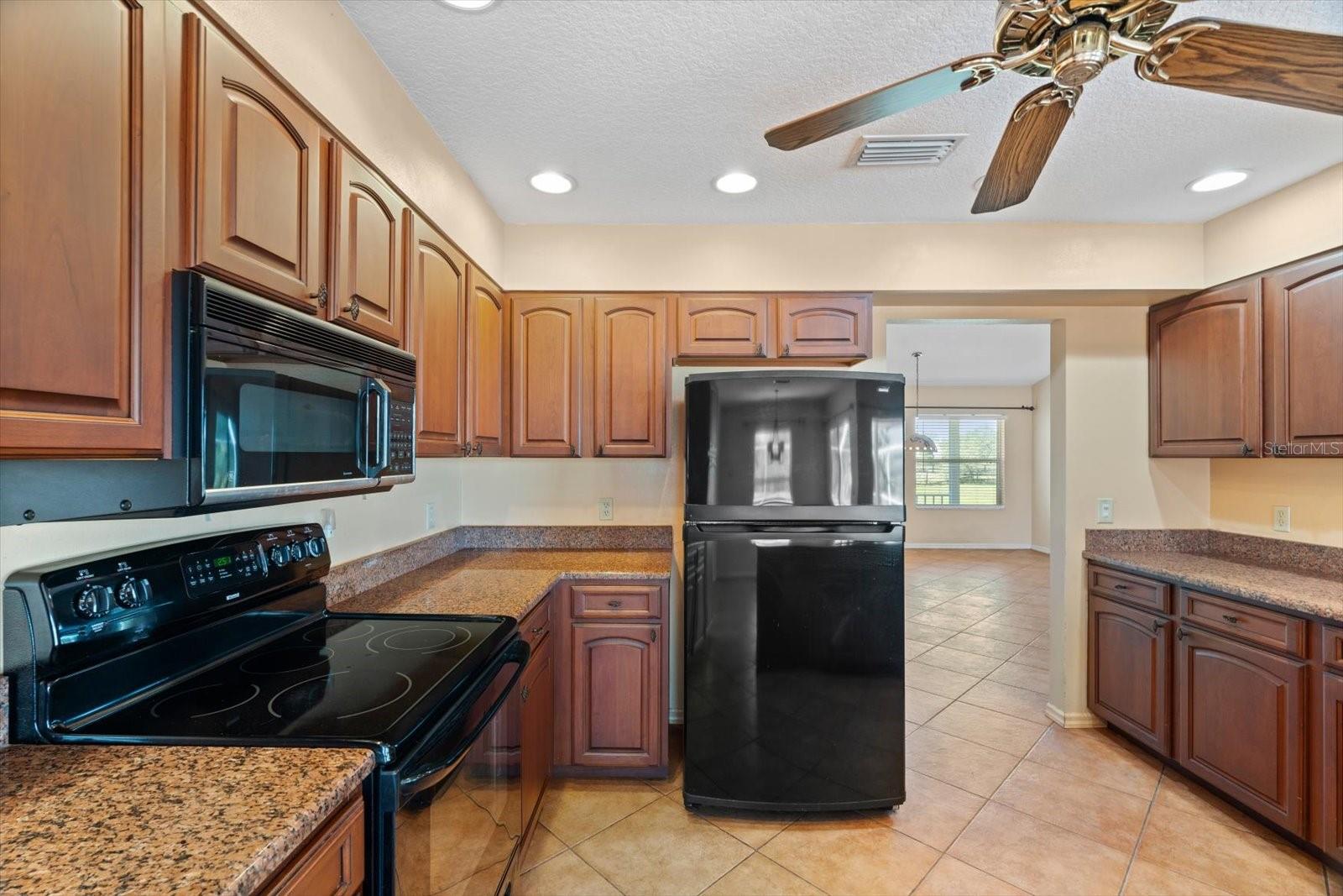 13995 MOSSY HAMMOCK LN, MYAKKA CITY, FL, 34251