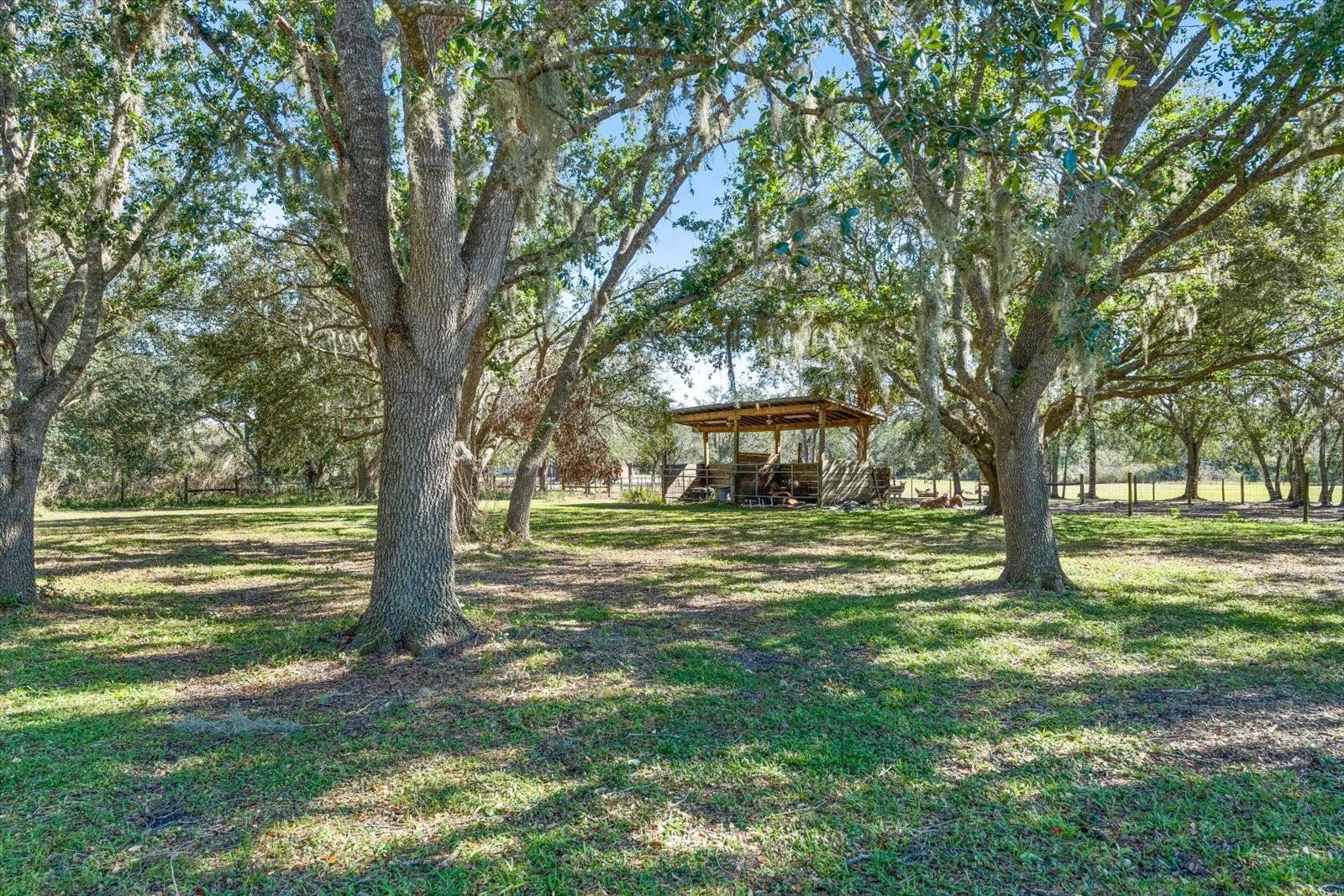 13995 MOSSY HAMMOCK LN, MYAKKA CITY, FL, 34251