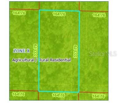 UNDEVELOPED, MORRISTON, FL, 32668
