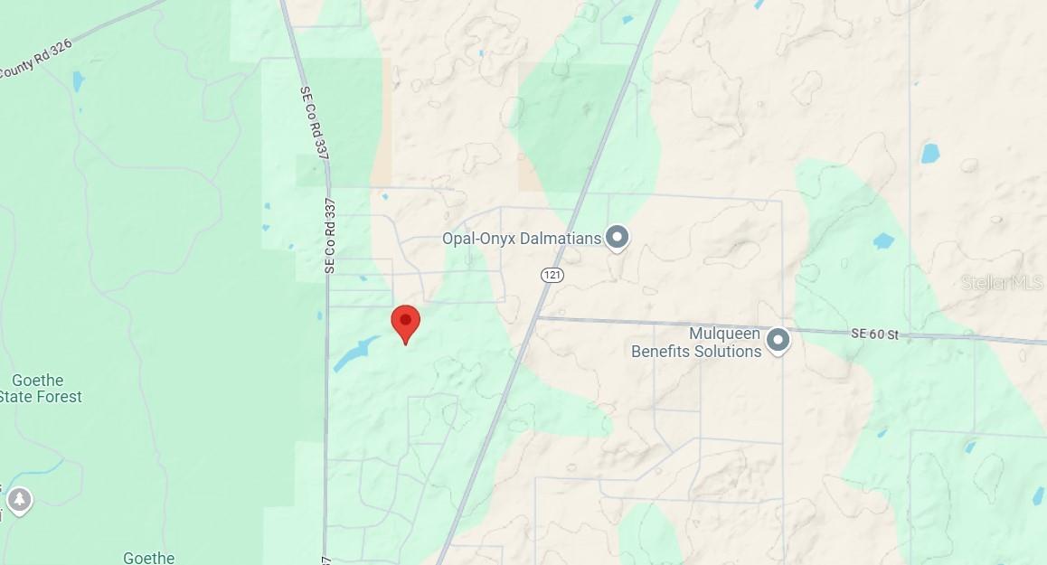 UNDEVELOPED, MORRISTON, FL, 32668