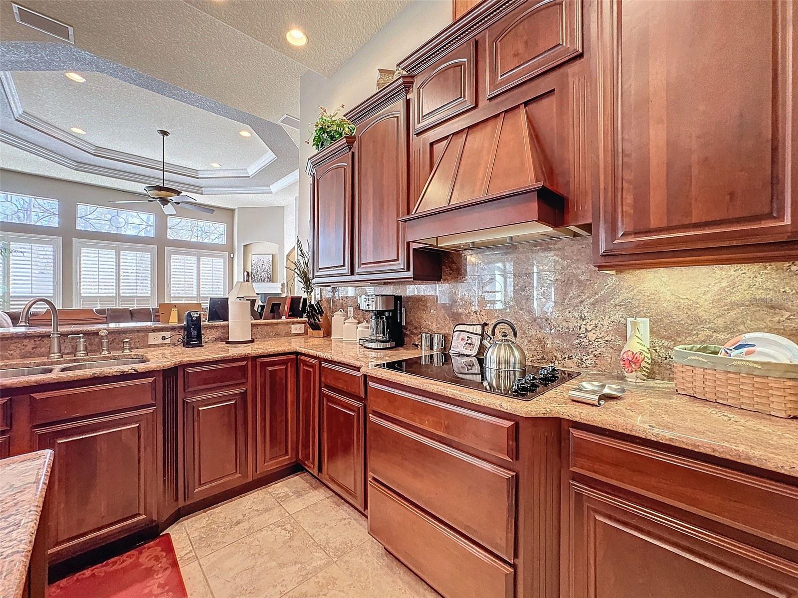 4339 N CANARYWOOD TER, BEVERLY HILLS, FL, 34465