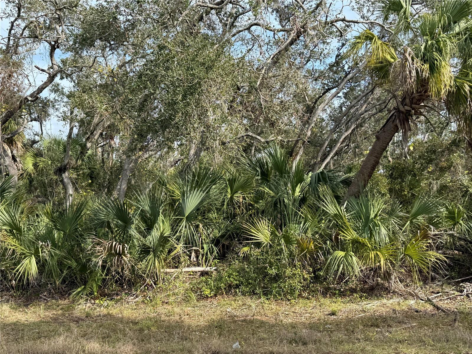 2102 DORION ST, PORT CHARLOTTE, FL, 33948