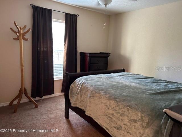 10329 CALICO WARBLER AVE, WEEKI WACHEE, FL, 34613