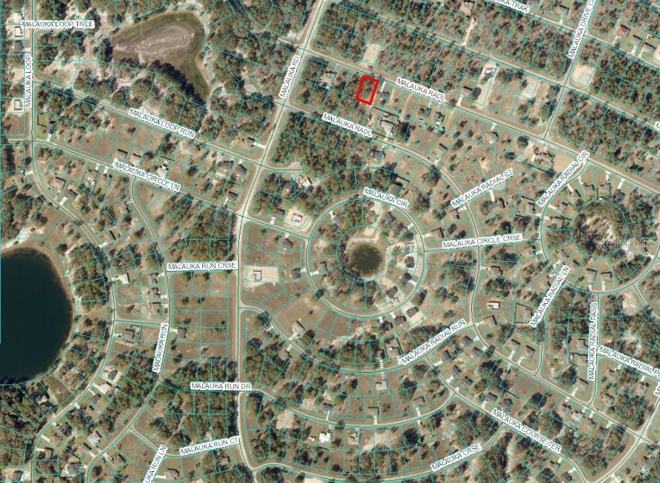 MALAUKA RADIAL, OCKLAWAHA, FL, 32179