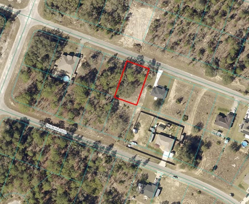 MALAUKA RADIAL, OCKLAWAHA, FL, 32179