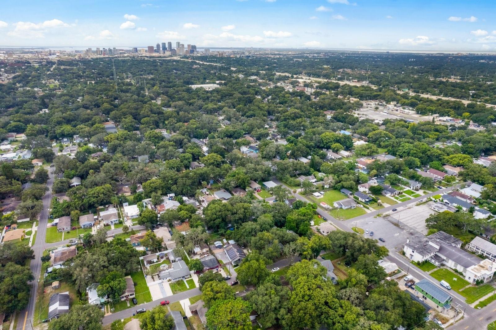 1214 E CURTIS ST, TAMPA, FL, 33603