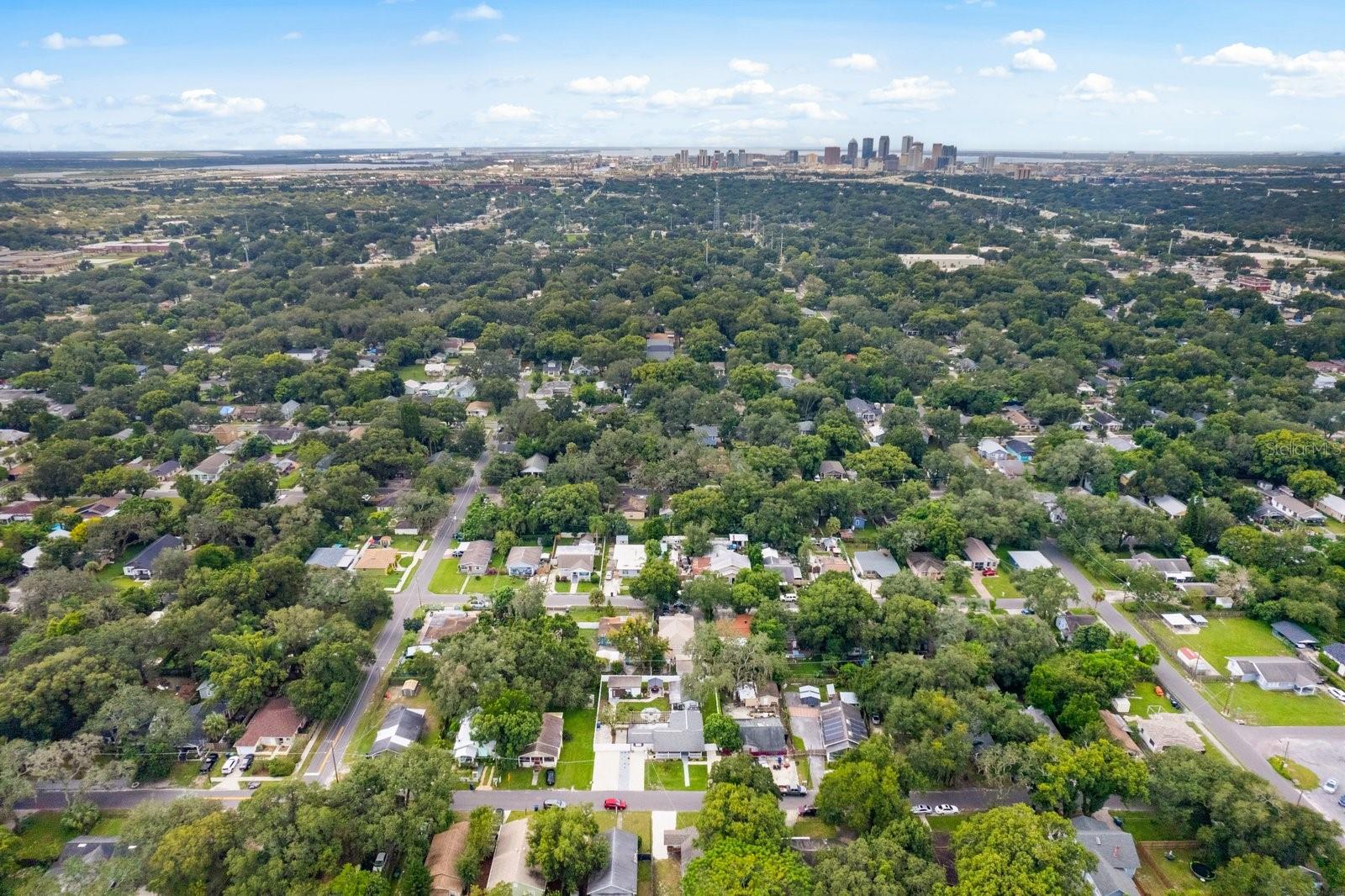 1214 E CURTIS ST, TAMPA, FL, 33603