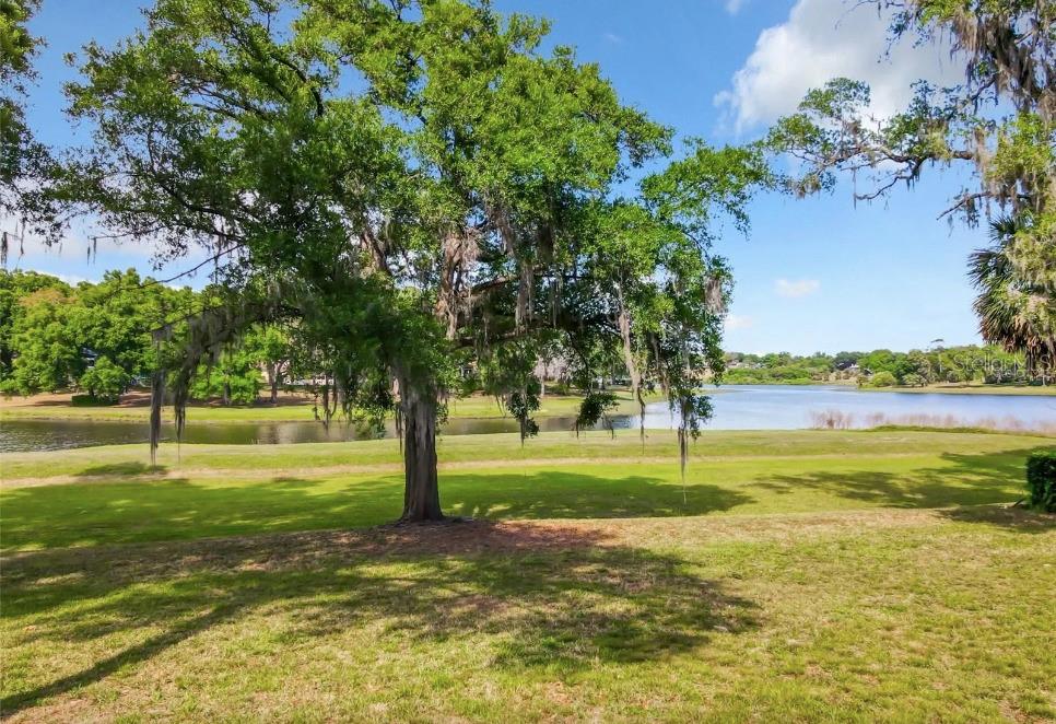 2054 SAWGRASS DR, APOPKA, FL, 32712