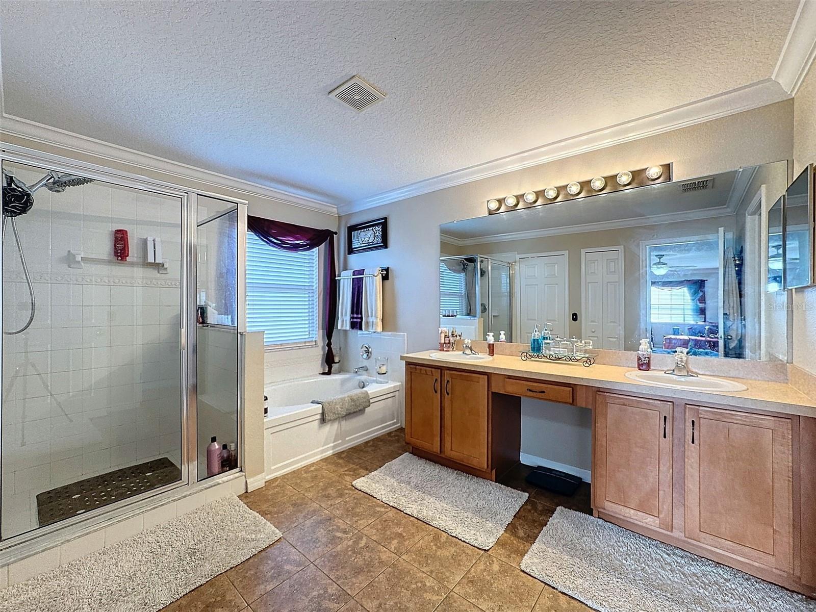 19029 CHISLEHURST DR, LAND O LAKES, FL, 34638