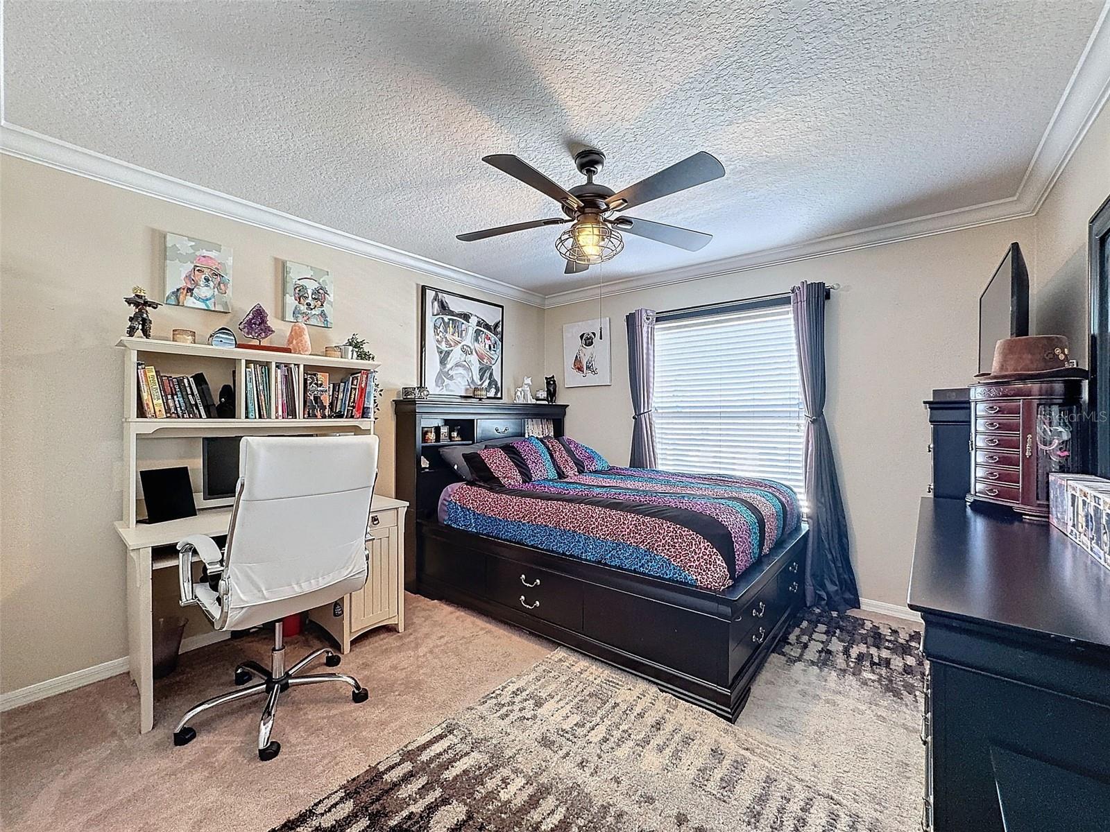 19029 CHISLEHURST DR, LAND O LAKES, FL, 34638