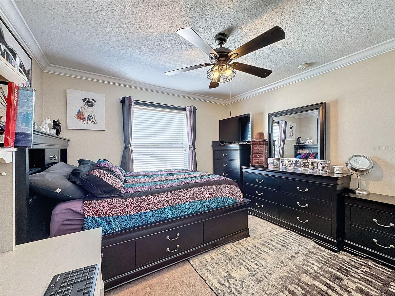 19029 CHISLEHURST DR, LAND O LAKES, FL, 34638