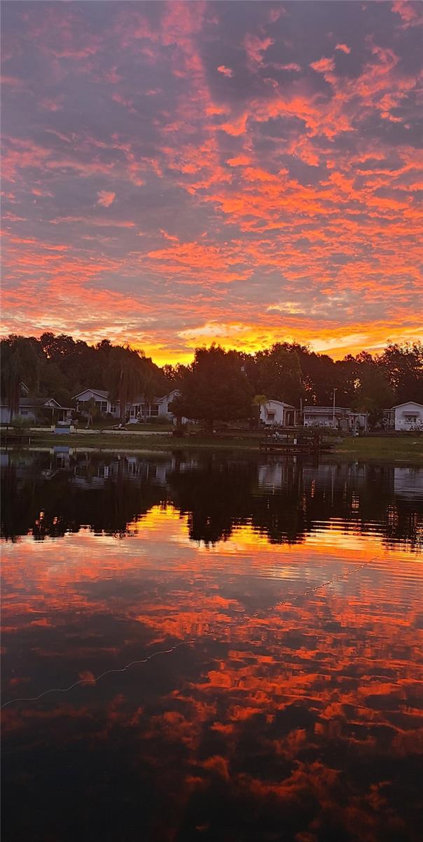 39645 TUREK LN, UMATILLA, FL, 32784