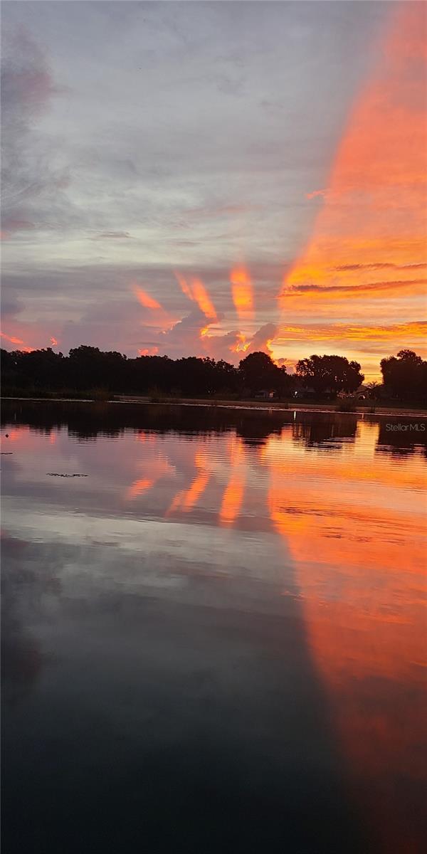 39645 TUREK LN, UMATILLA, FL, 32784