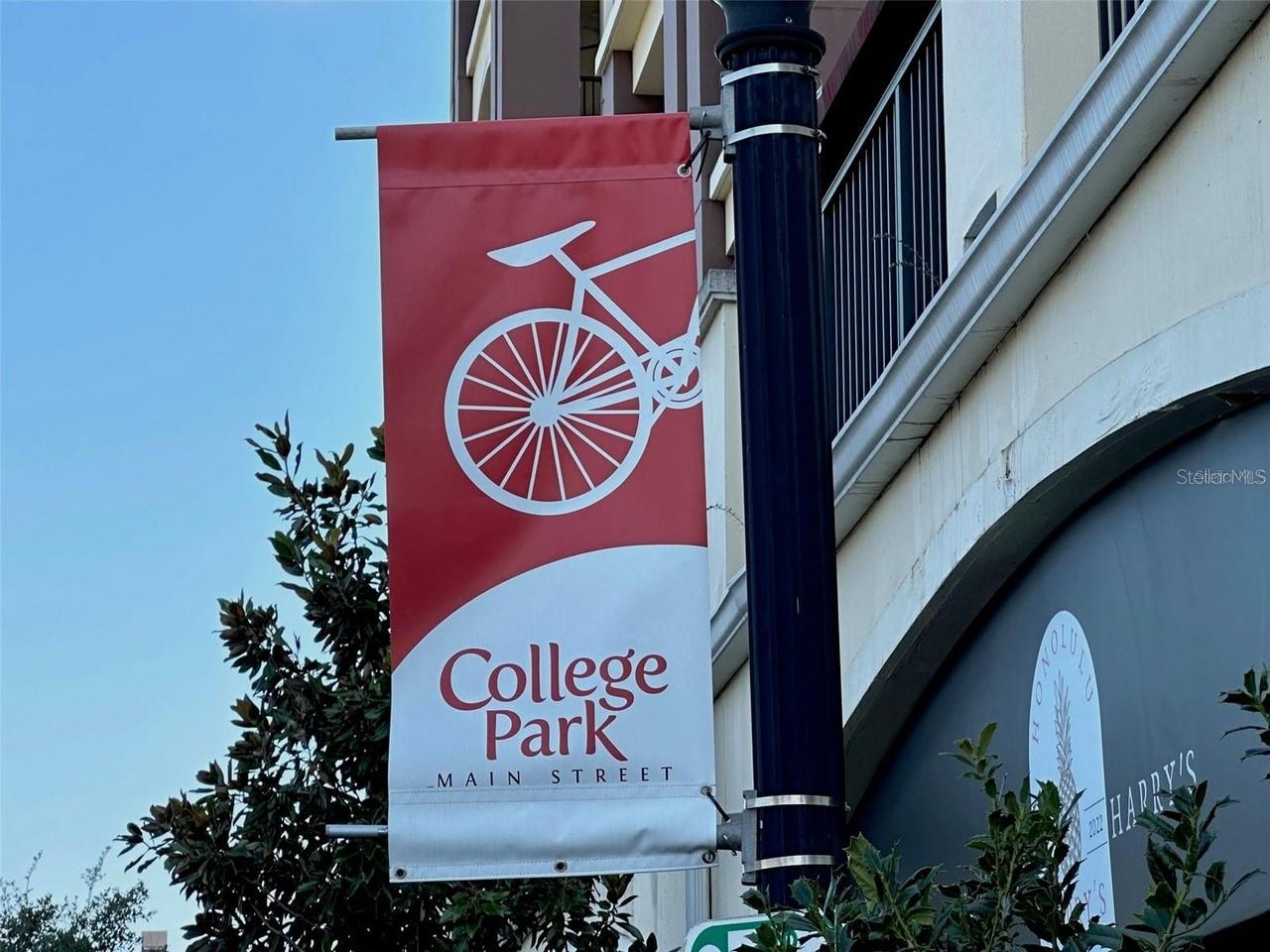 1604 BRYN MAWR ST, ORLANDO, FL, 32804