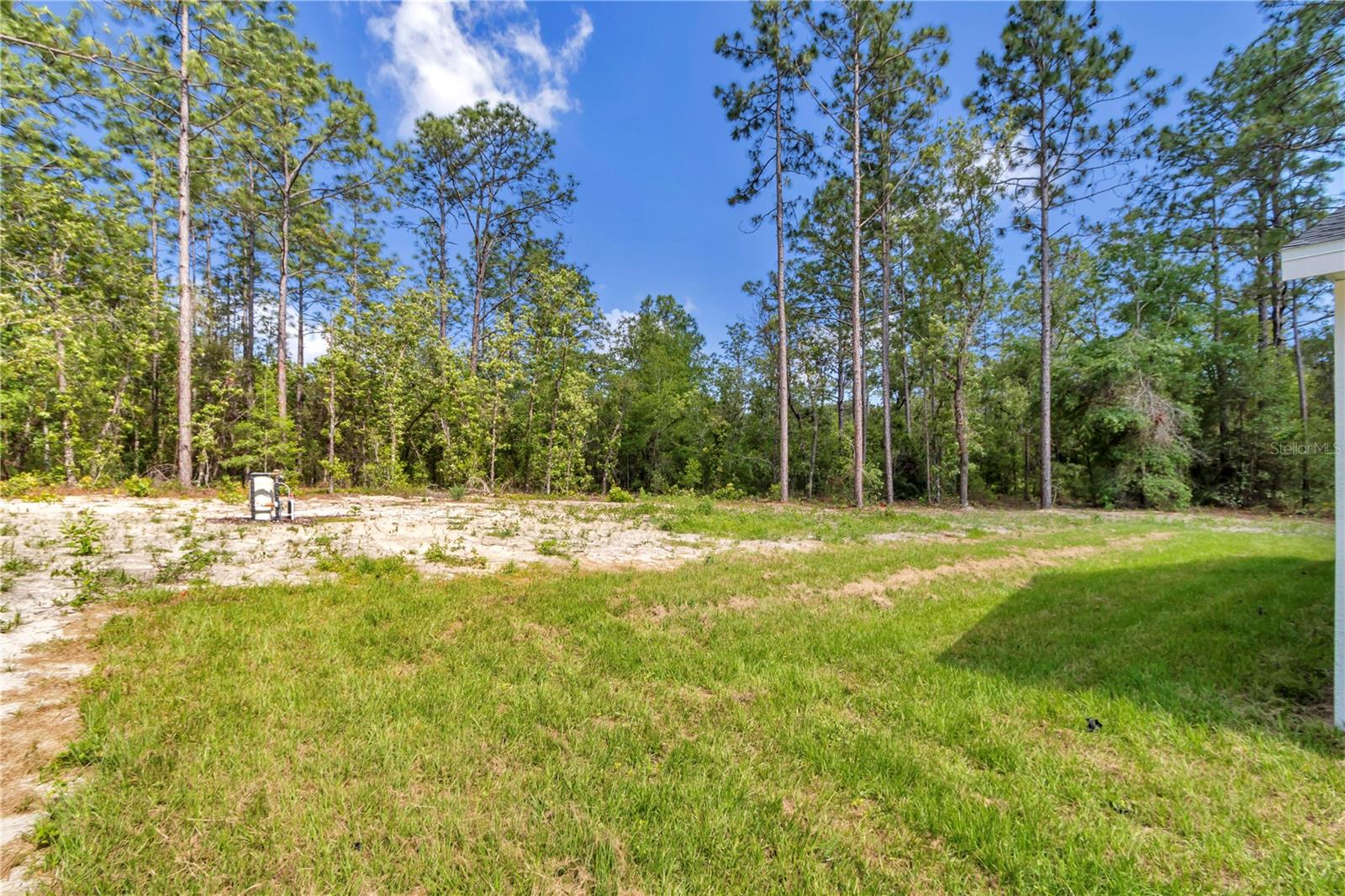 9095 SW 125TH TER, DUNNELLON, FL, 34432