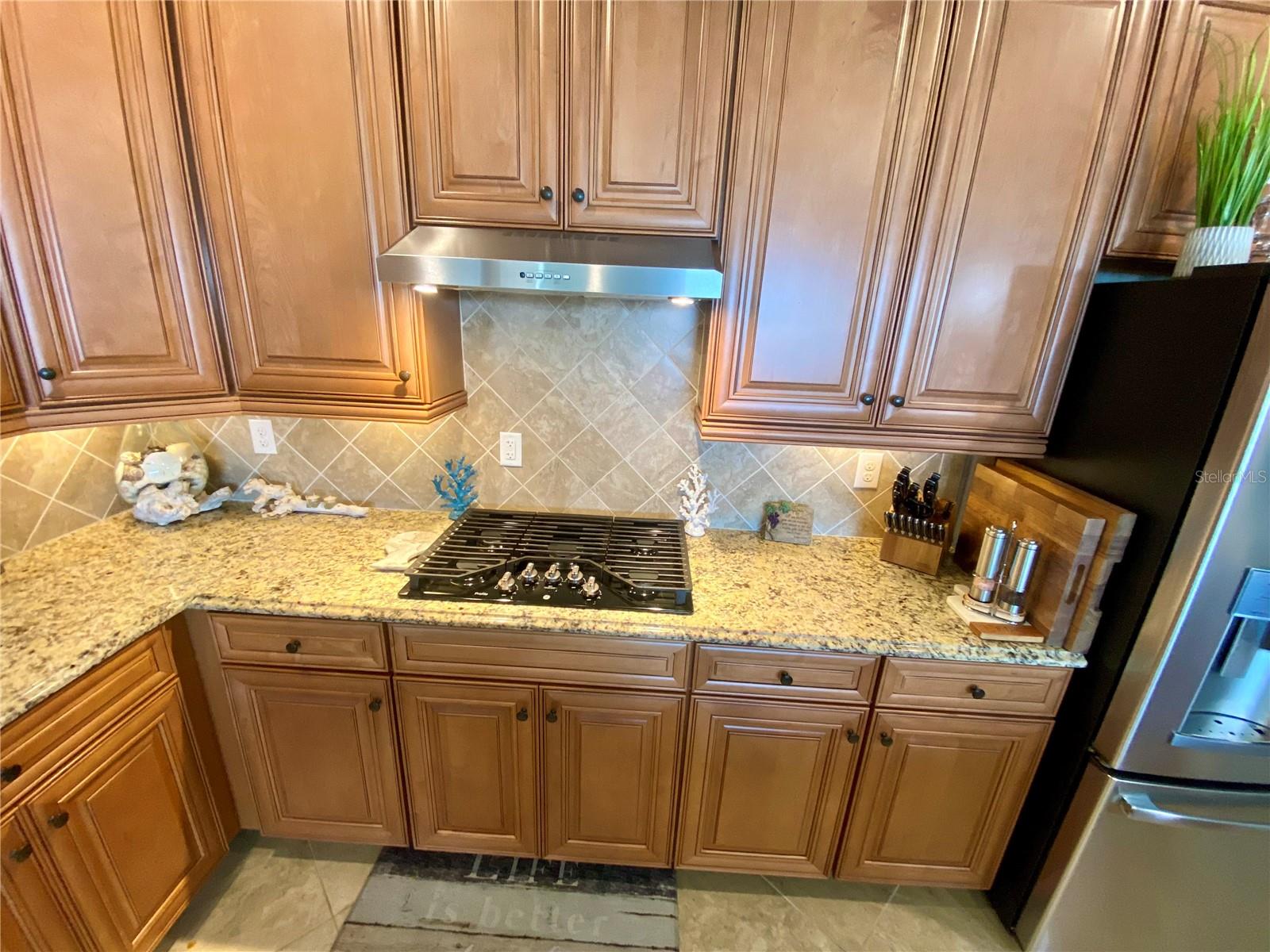 16812 BWANA PL, BRADENTON, FL, 34211