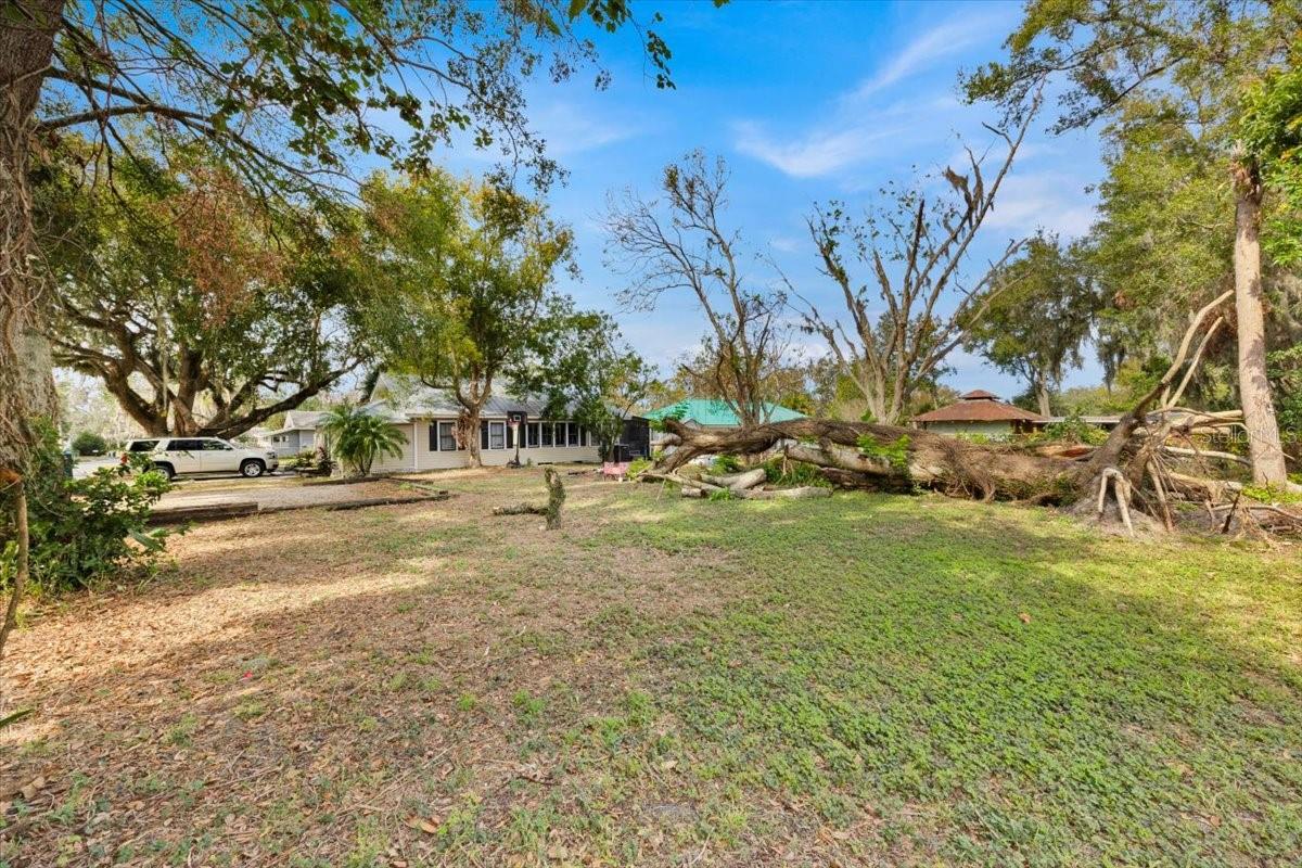 590 W VINE ST, BARTOW, FL, 33830