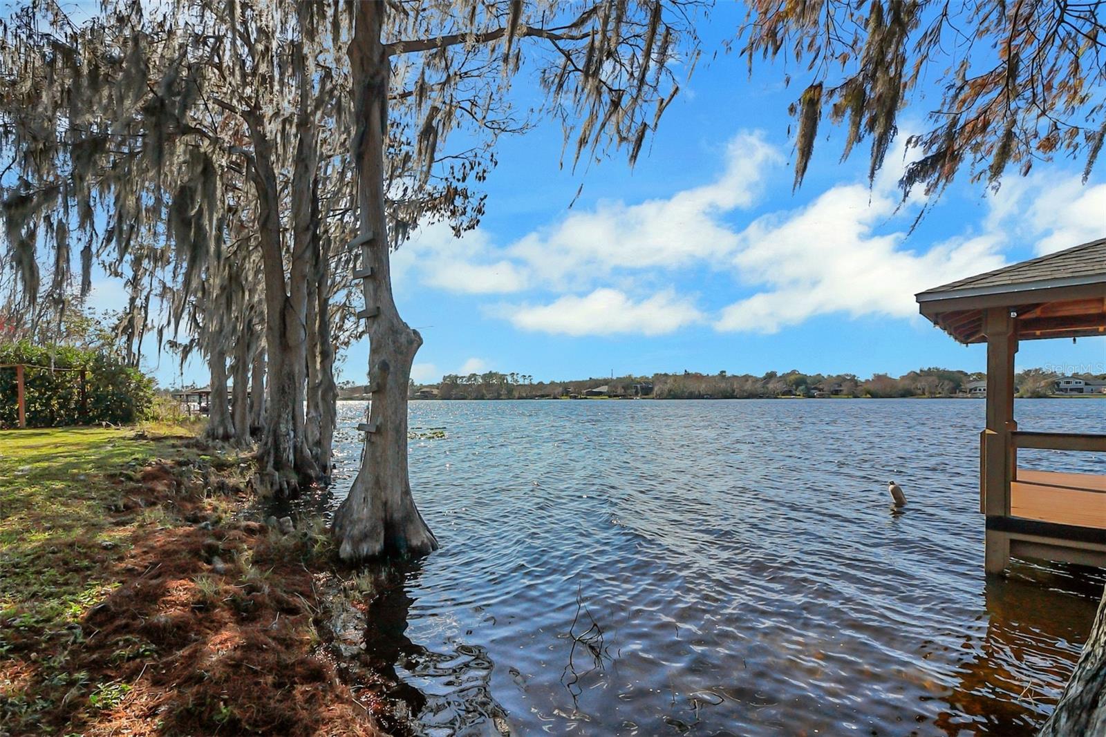 491 CAROLYN DR, OVIEDO, FL, 32765