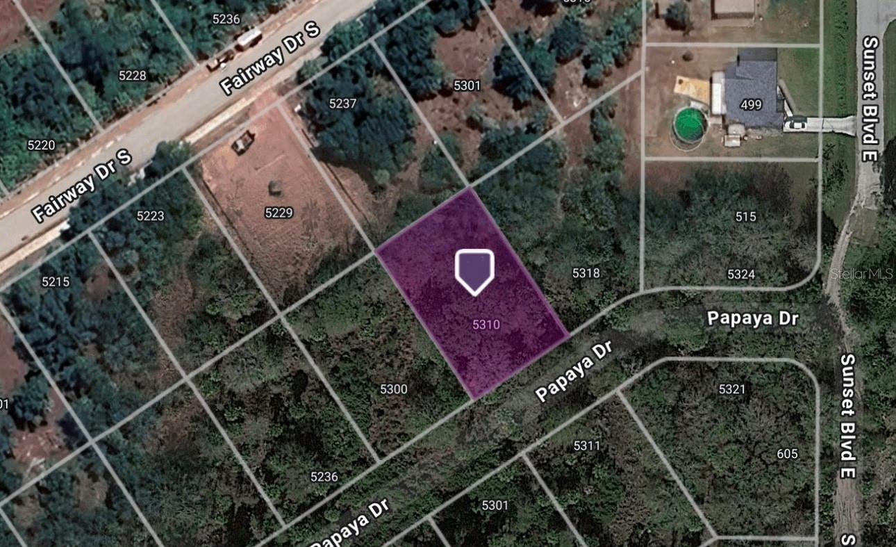 5310 PAPAYA DR, PUNTA GORDA, FL, 33982