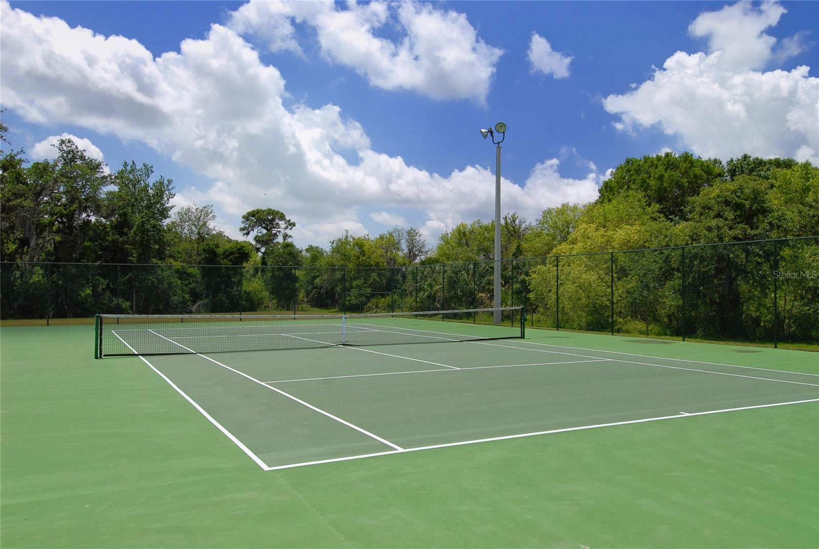 12471 NATUREVIEW CIR, BRADENTON, FL, 34212