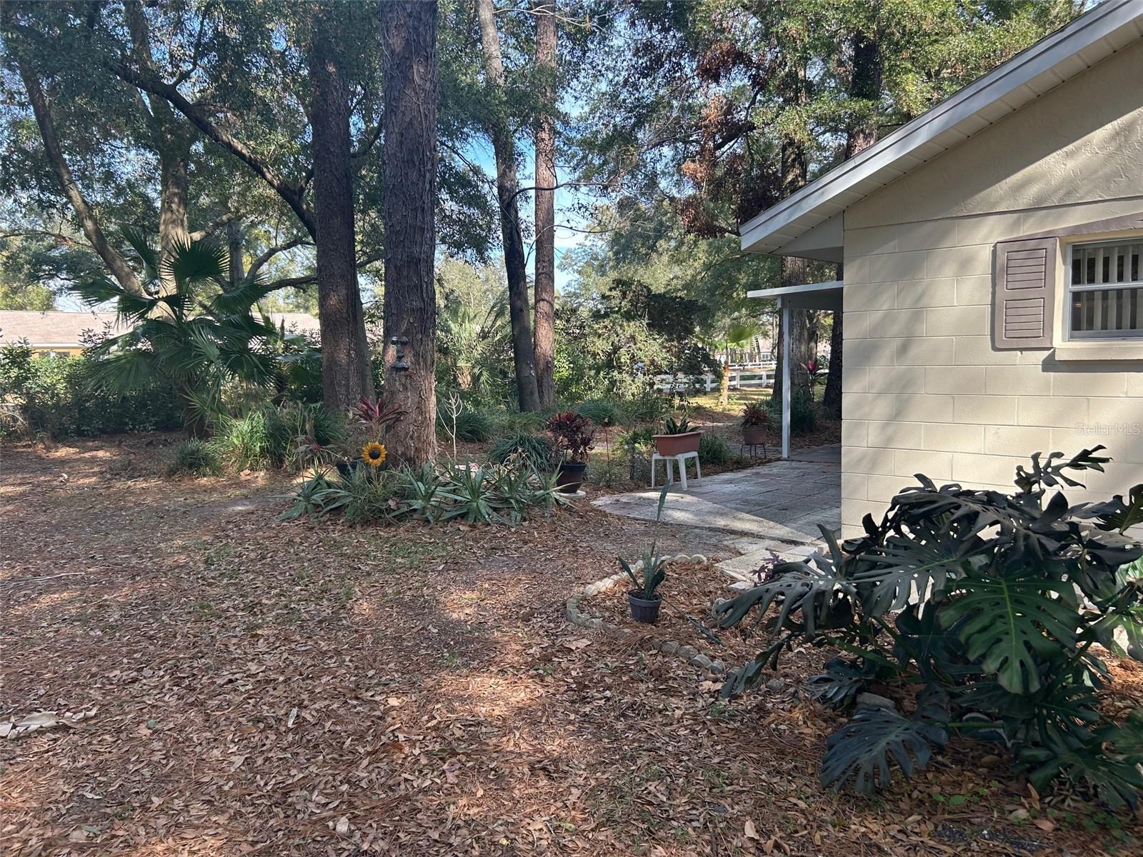 8655 SW 98TH STREET RD #A, OCALA, FL, 34481