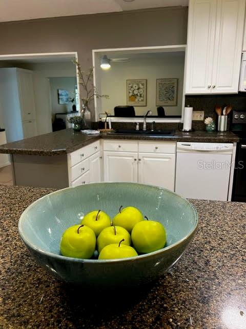 203 DOVERWOOD RD, FERN PARK, FL, 32730