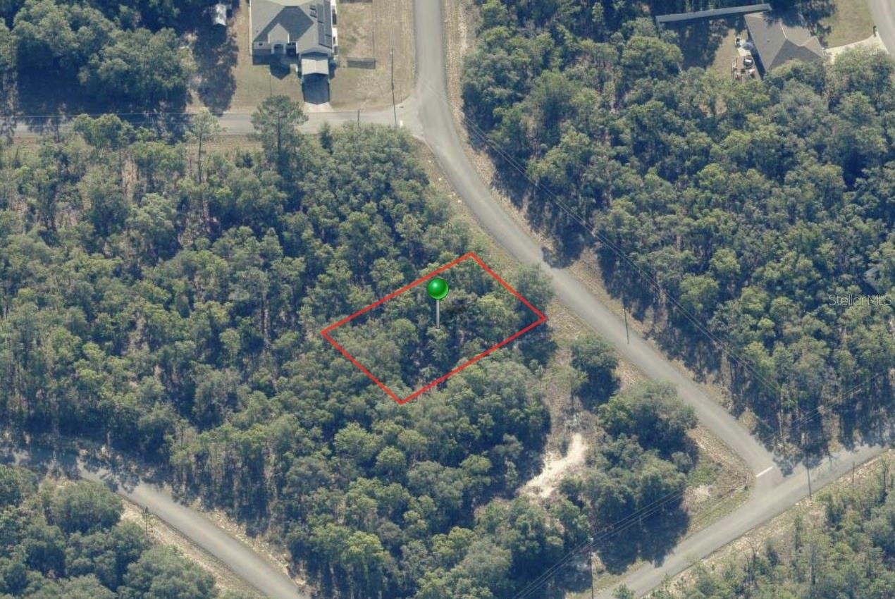 1343 W DUPONT DR, CITRUS SPRINGS, FL, 34434