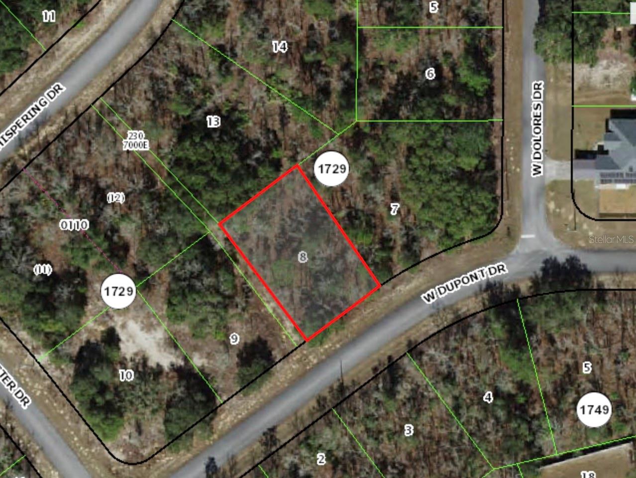 1343 W DUPONT DR, CITRUS SPRINGS, FL, 34434