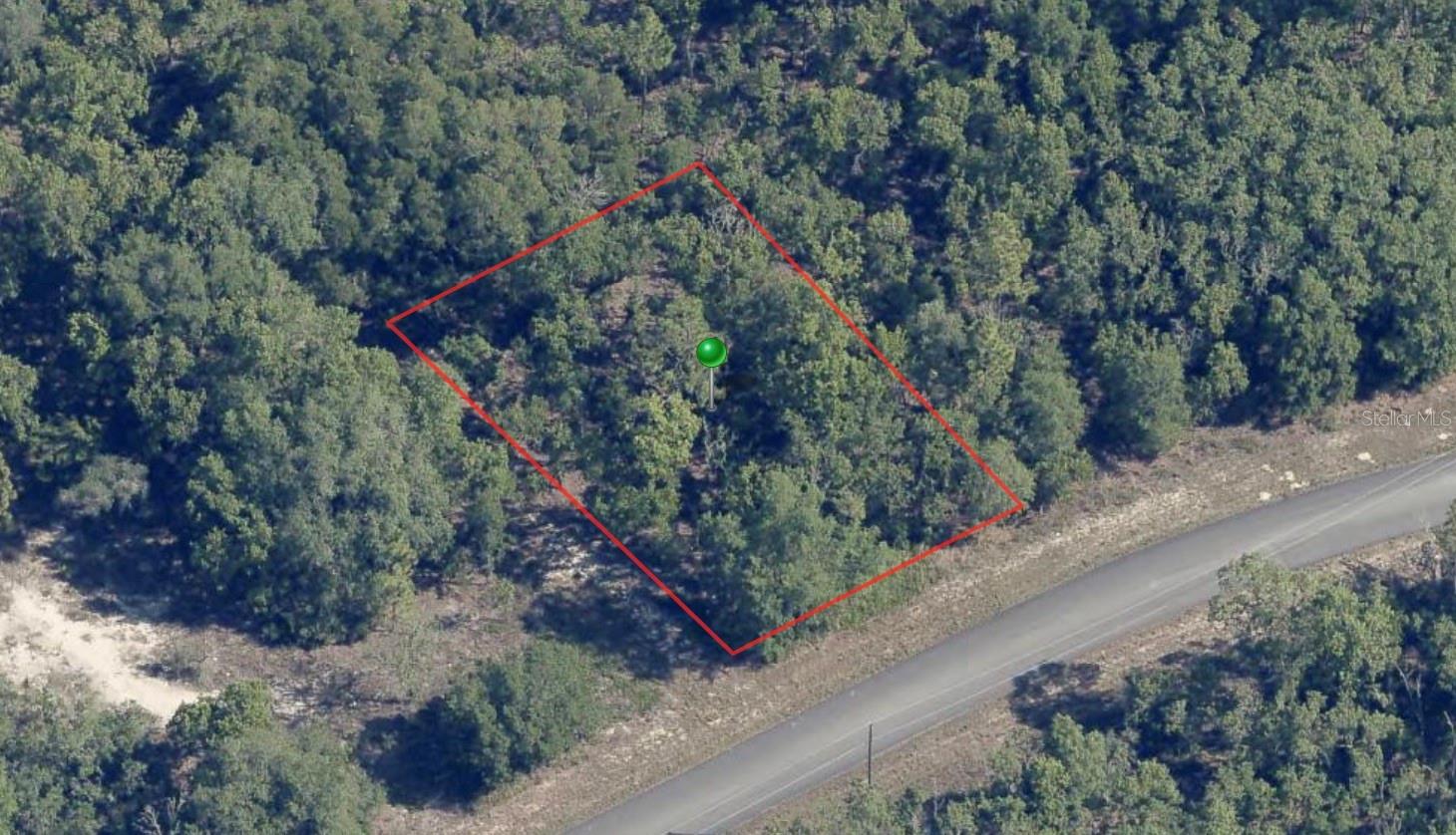 1343 W DUPONT DR, CITRUS SPRINGS, FL, 34434