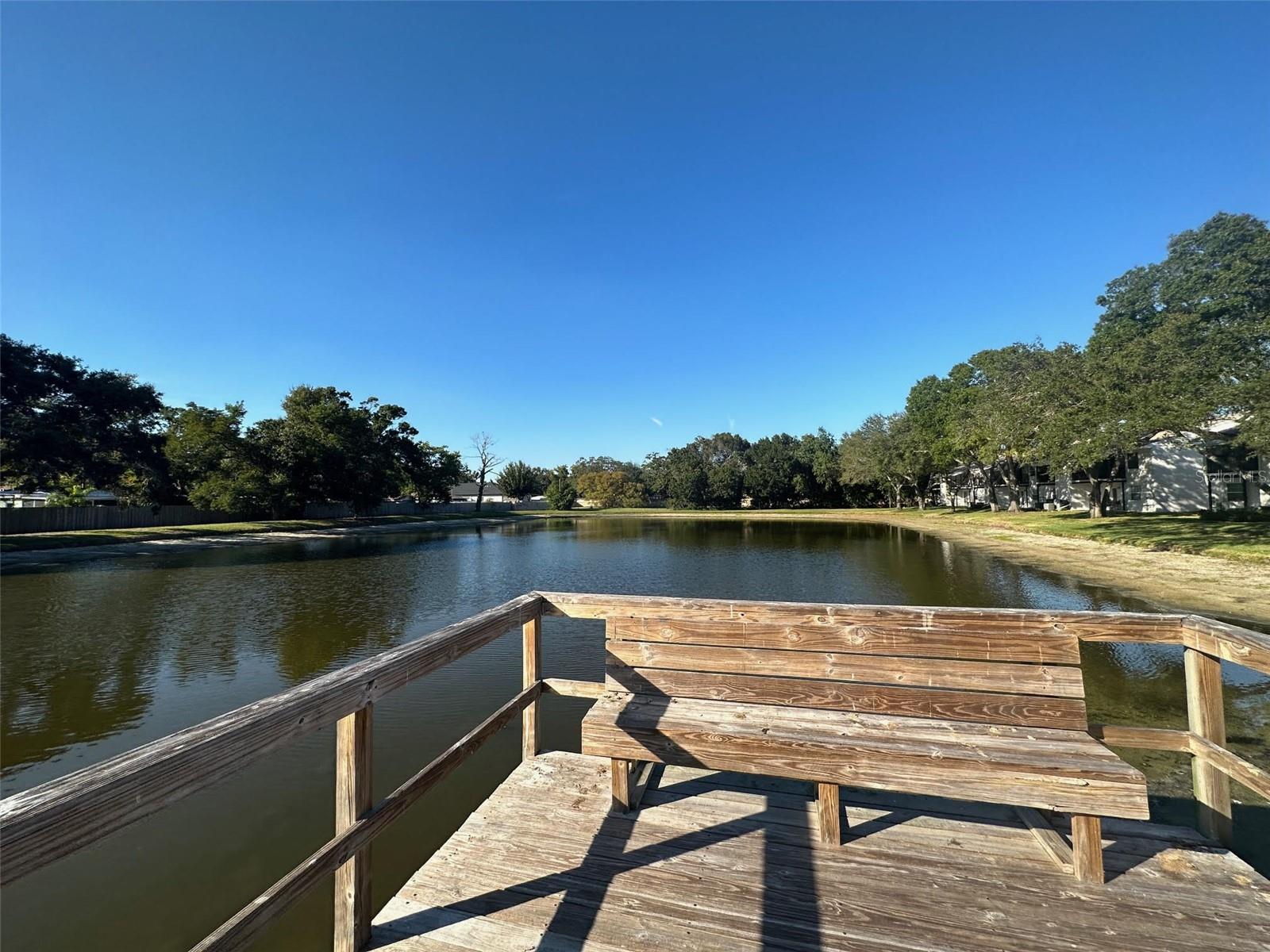 4511 S OAK DR #R12, TAMPA, FL, 33611