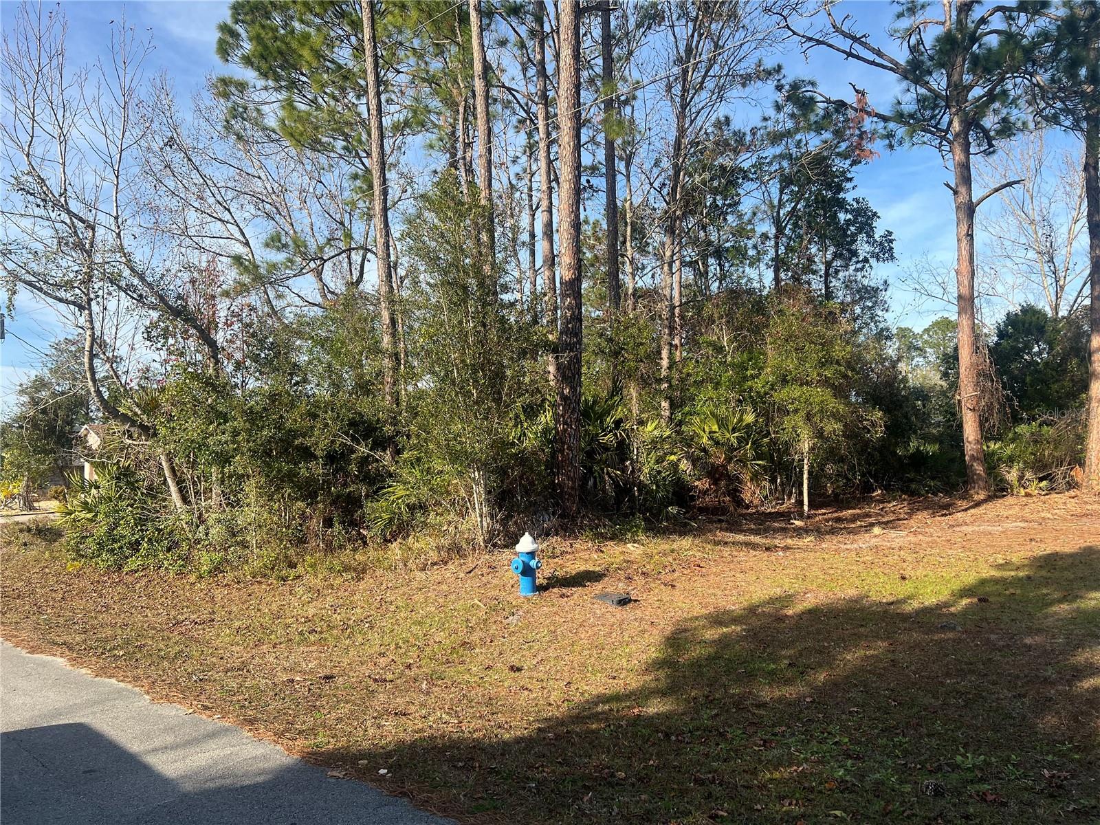 23 RAMROCK LN, PALM COAST, FL, 32164