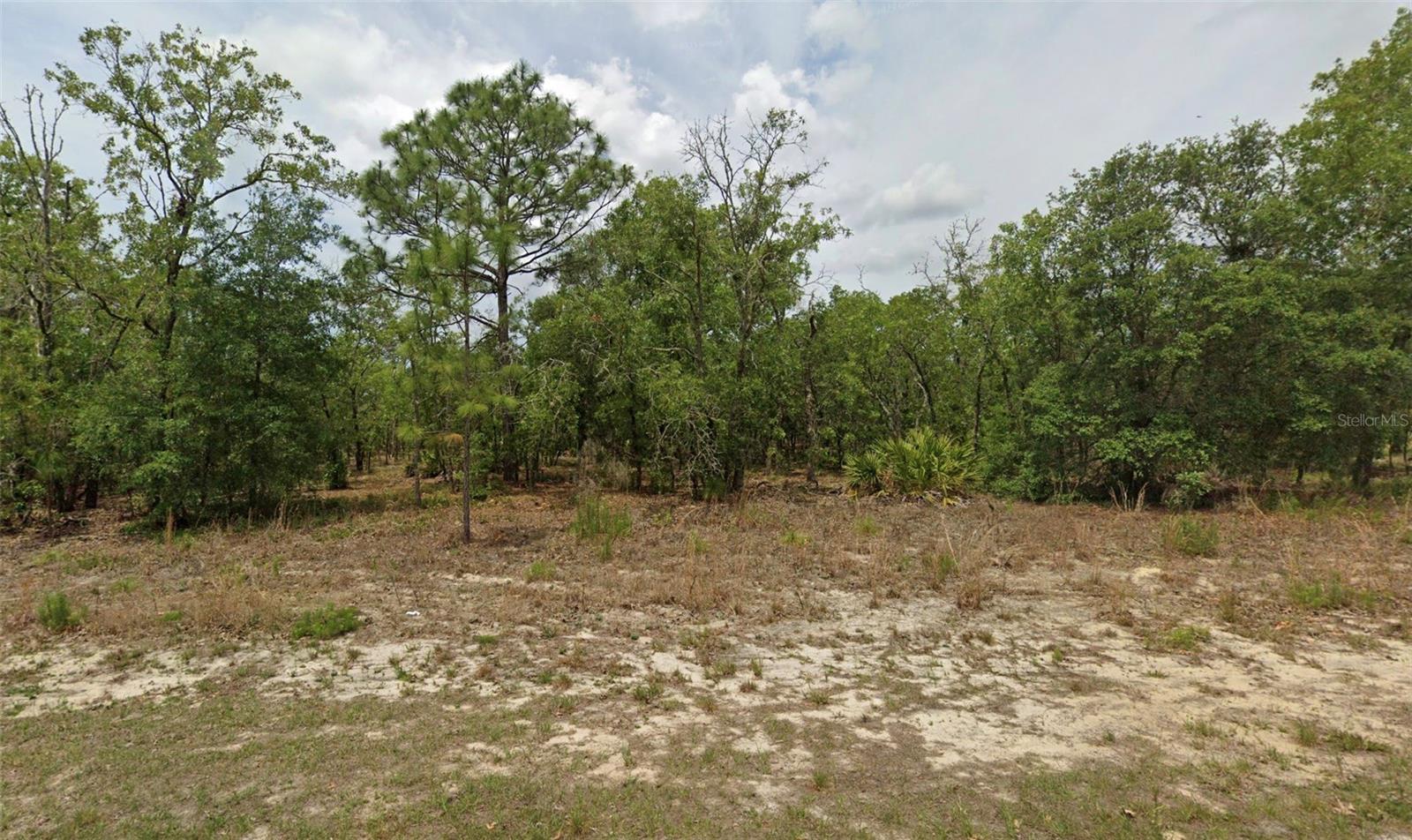 6198 N DARLINGTON DR, CITRUS SPRINGS, FL, 34434