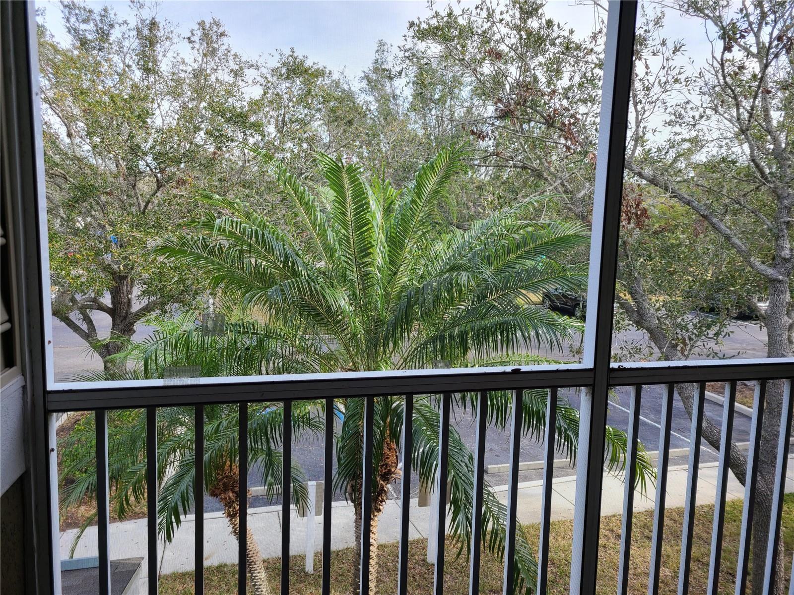 7405 VISTA WAY #202, LAKEWOOD RANCH, FL, 34202