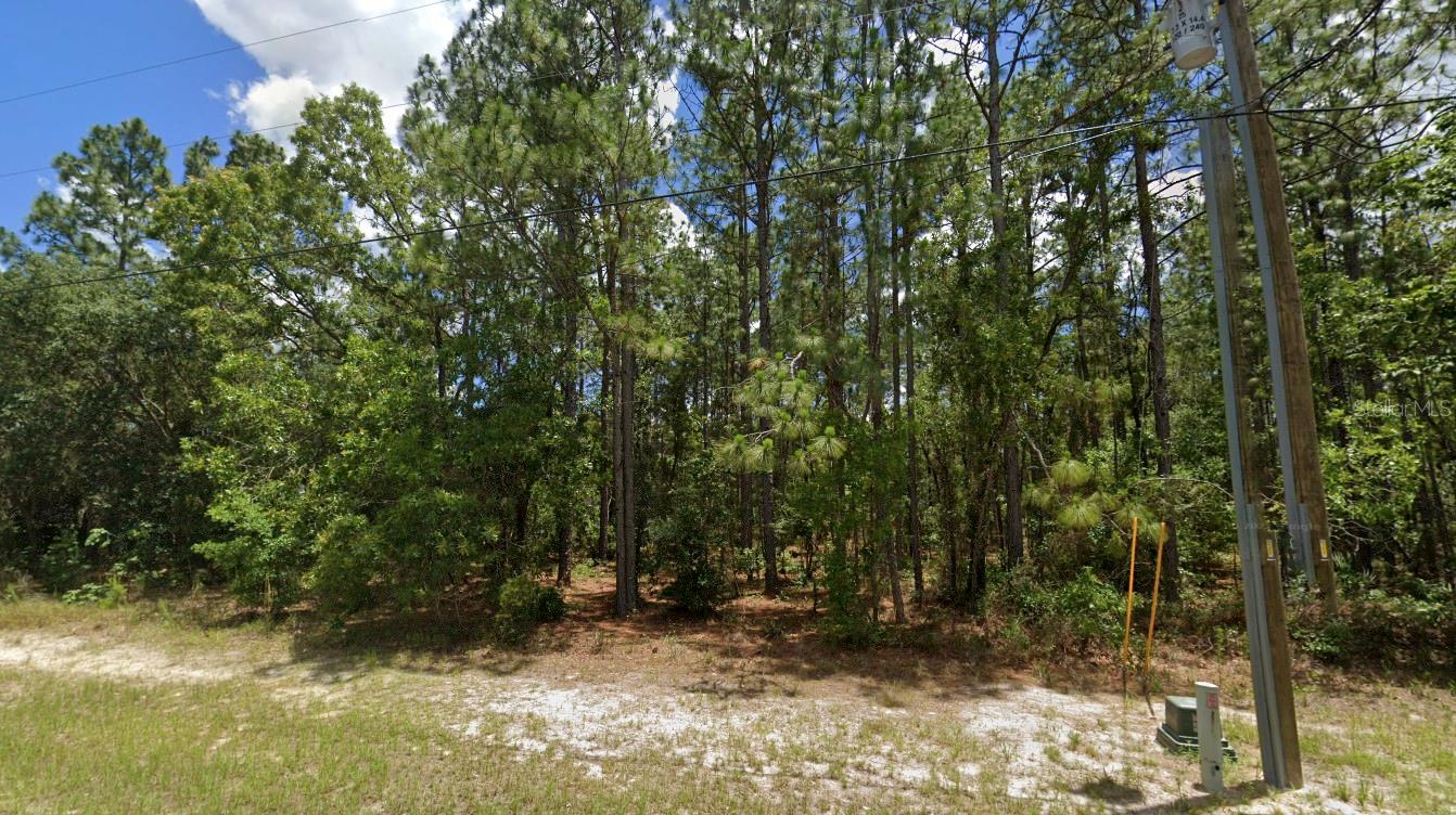 SW 132ND ST, OCALA, FL, 34473