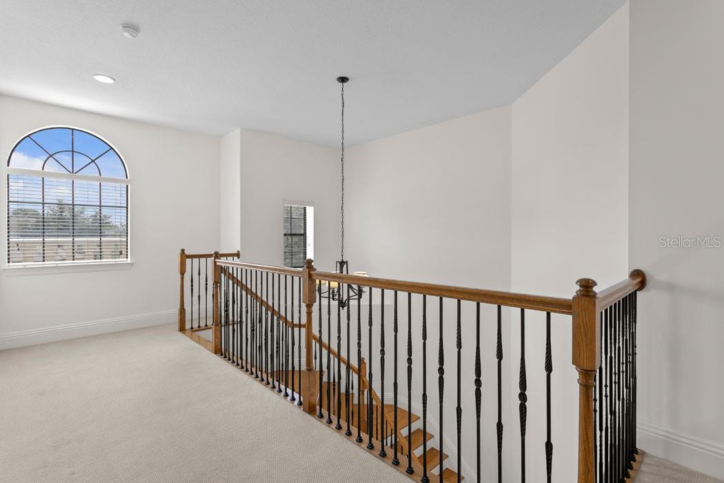 1903 HAVEN BEND, TAMPA, FL, 33613