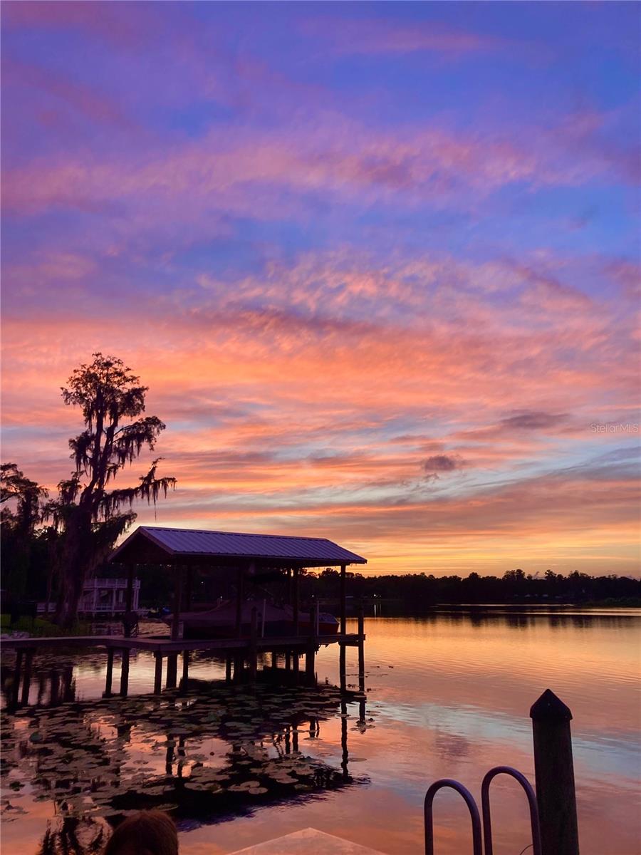 1903 HAVEN BEND, TAMPA, FL, 33613