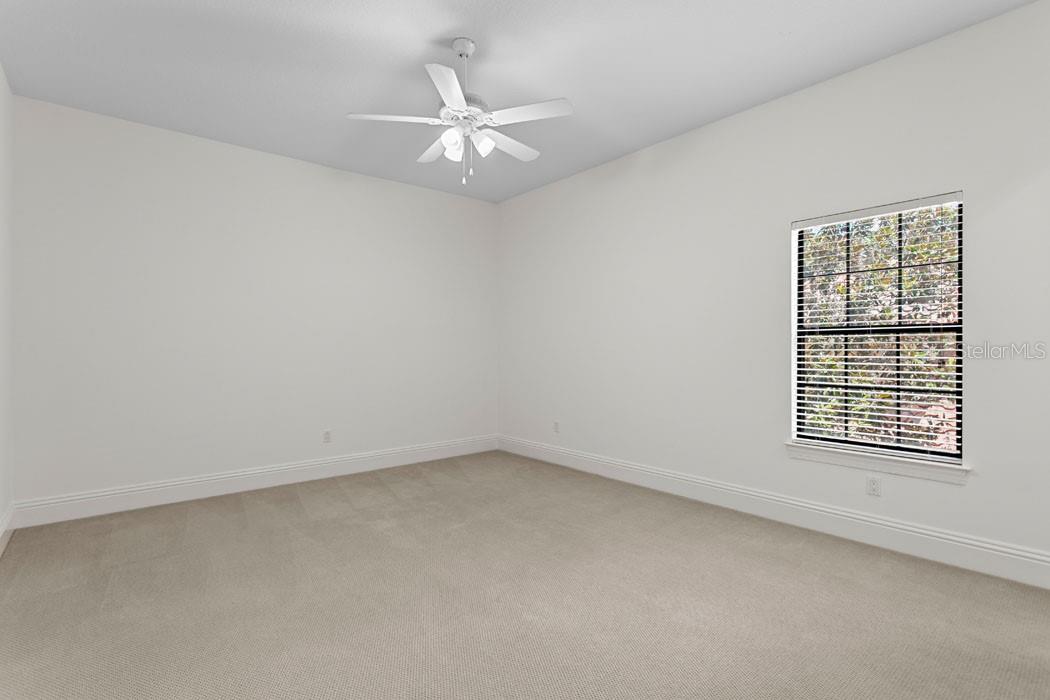 1903 HAVEN BEND, TAMPA, FL, 33613