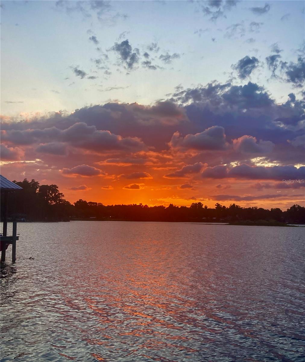 1903 HAVEN BEND, TAMPA, FL, 33613