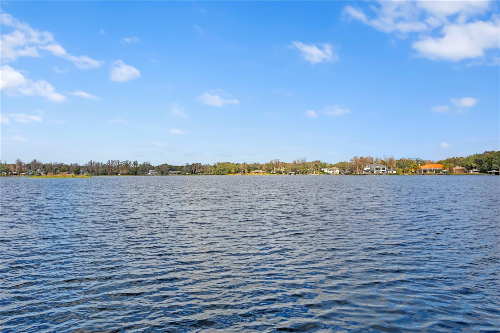 1903 HAVEN BEND, TAMPA, FL, 33613