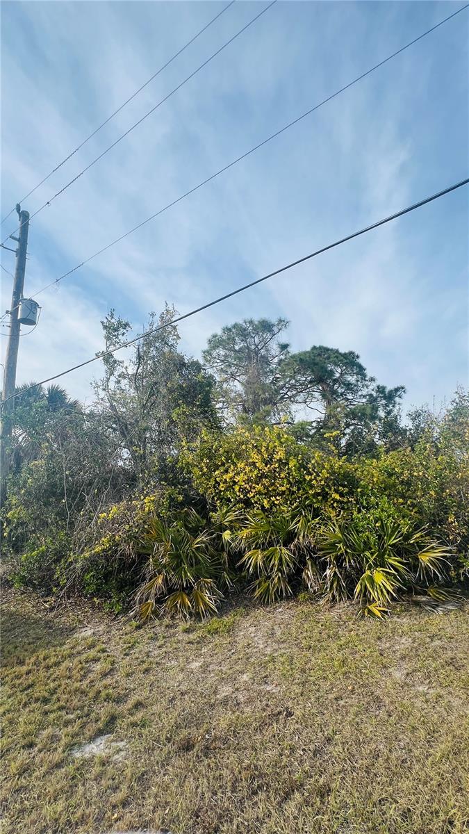 128 ALBATROSS RD, ROTONDA WEST, FL, 33947