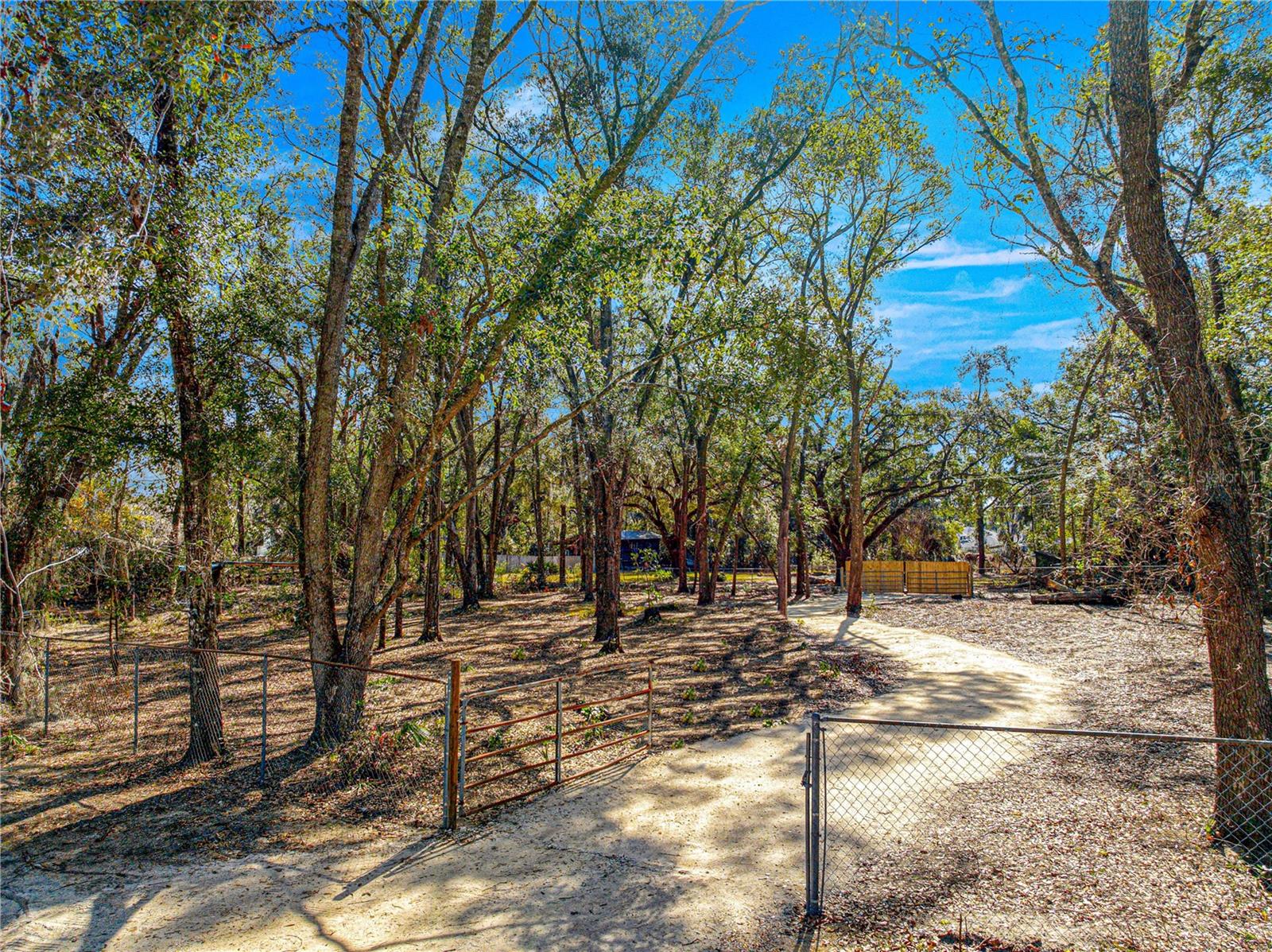 00 SE 159TH LN, SUMMERFIELD, FL, 34491