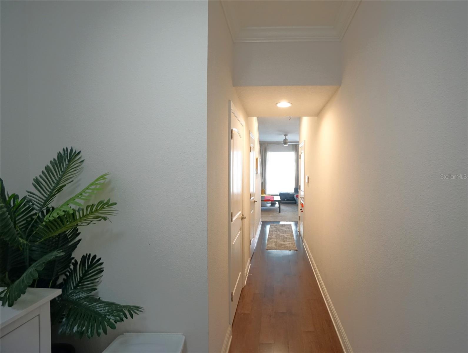 115 N ARRAWANA AVE #8, TAMPA, FL, 33609