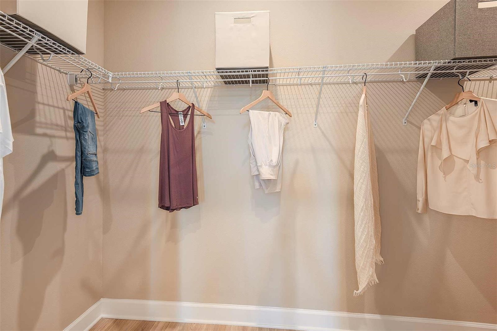 29555 ZUPETTA LN, WESLEY CHAPEL, FL, 33545