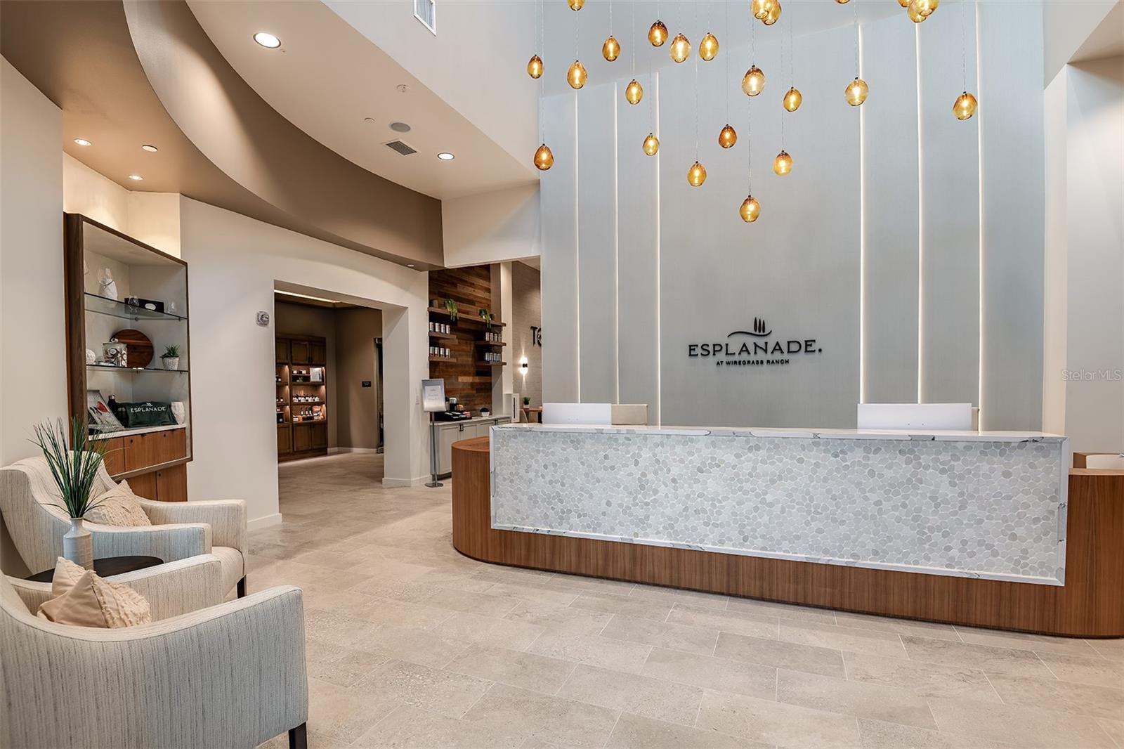 29555 ZUPETTA LN, WESLEY CHAPEL, FL, 33545